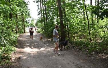 DSC_1482